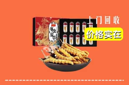 安宁市回收冬虫夏草